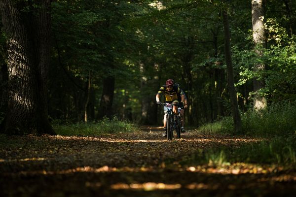 Fotografie de la ȘOPA Forest Race 2024