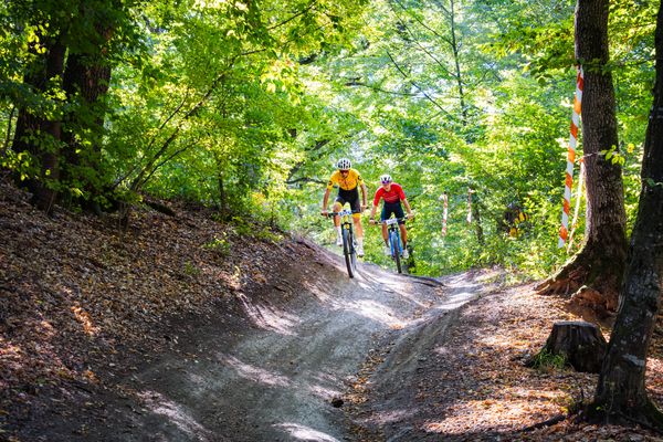 Fotografie de la ȘOPA Forest Race 2026