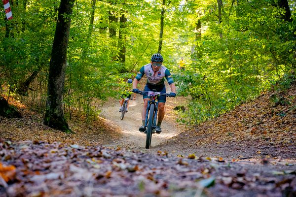 Fotografie de la ȘOPA Forest Race 2026
